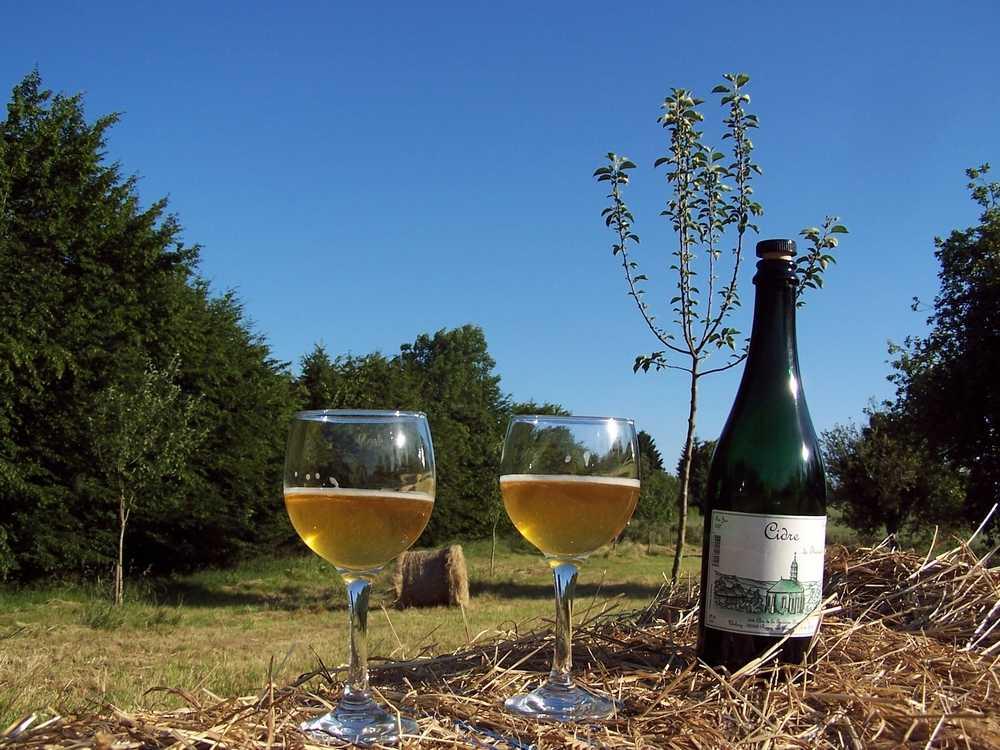 Logo de Clos de la Fontaine Hugo