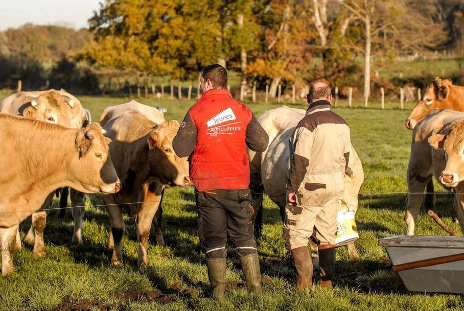 Logo de Ferme de la Billoterie