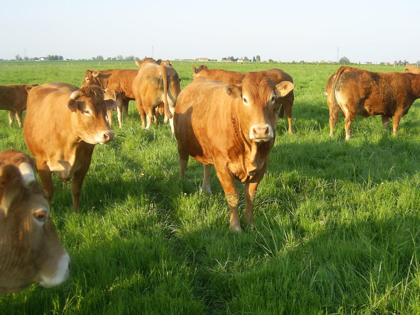 Logo de Ferme de la Muette