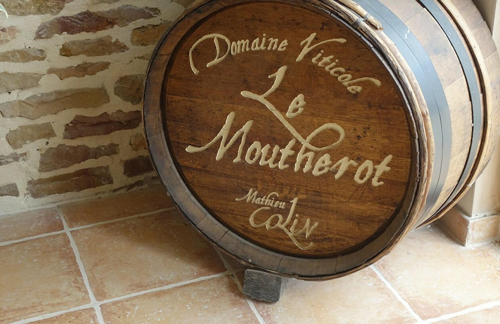 Logo de Domaine Viticole du Moutherot