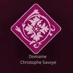 Logo de Domaine Christophe Savoye