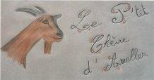Logo de Le P'tit Chèvre d'Arrelles