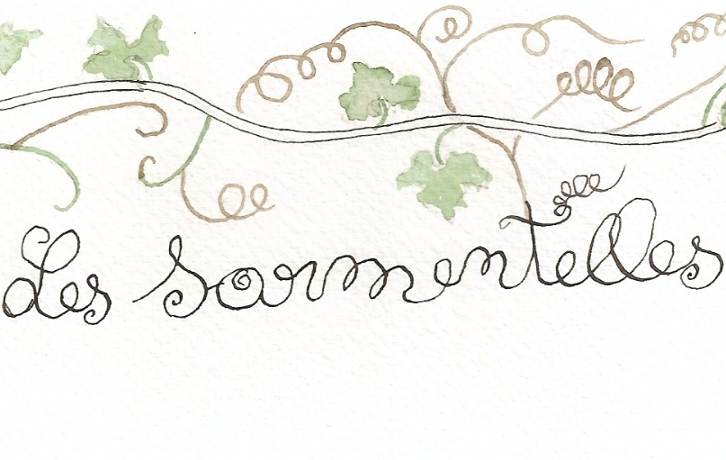 Logo de Domaine des Sarmentelles