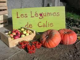 Logo de Les Légumes de Calie