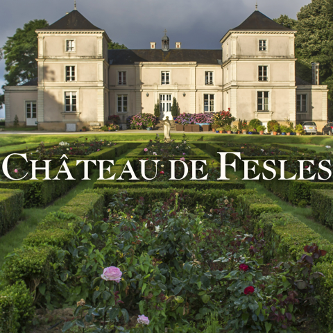 Logo de Château De Fesles
