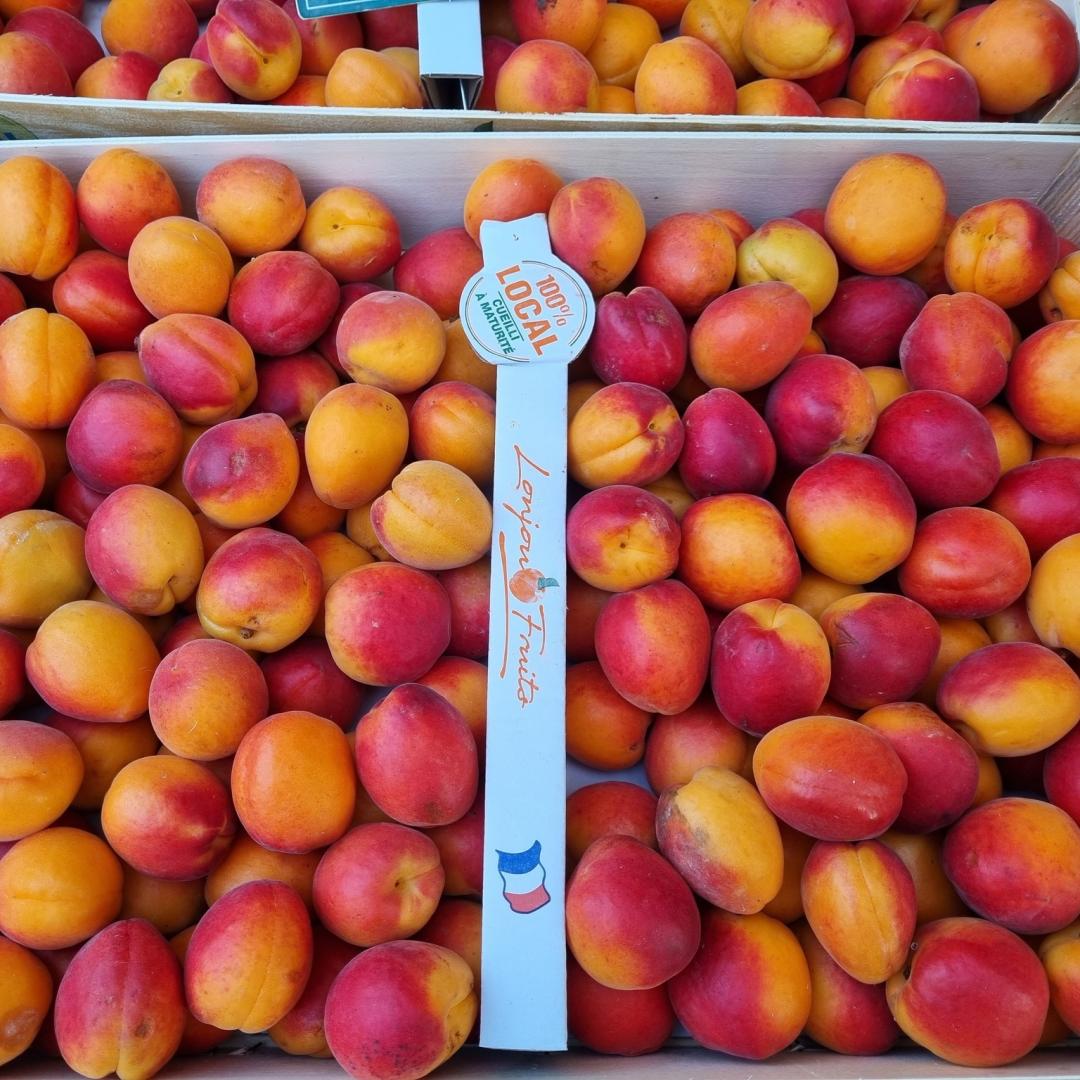 Logo de Fruits Lonjou