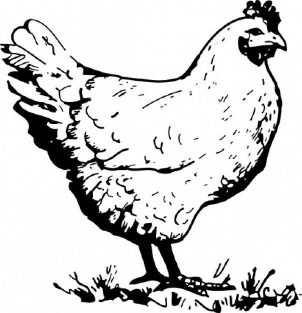Logo de Domaine de la Rivière