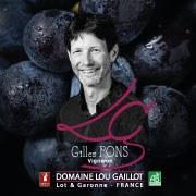 Logo de Domaine Lou Gaillot
