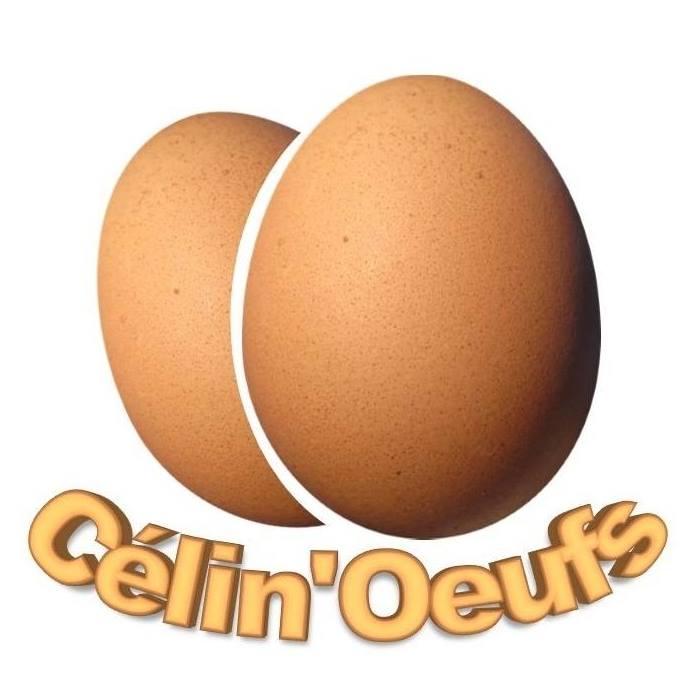 Logo de Célin'Oeufs - Domaine Les Terres Blondes