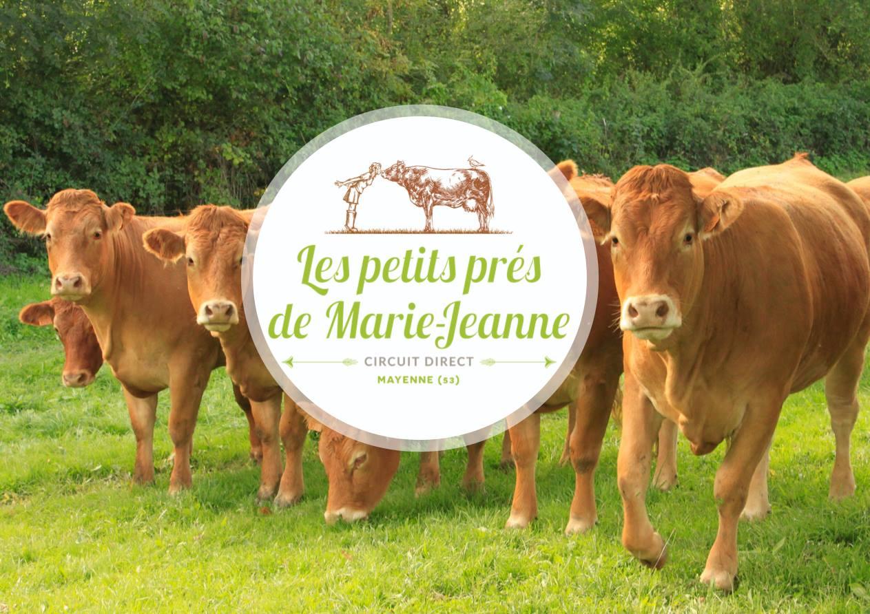 Logo de Les Petits Prés de Marie-Jeanne
