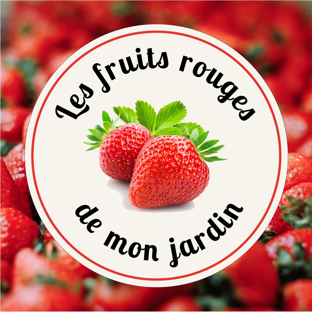 Logo de Les fruits rouges de mon jardin
