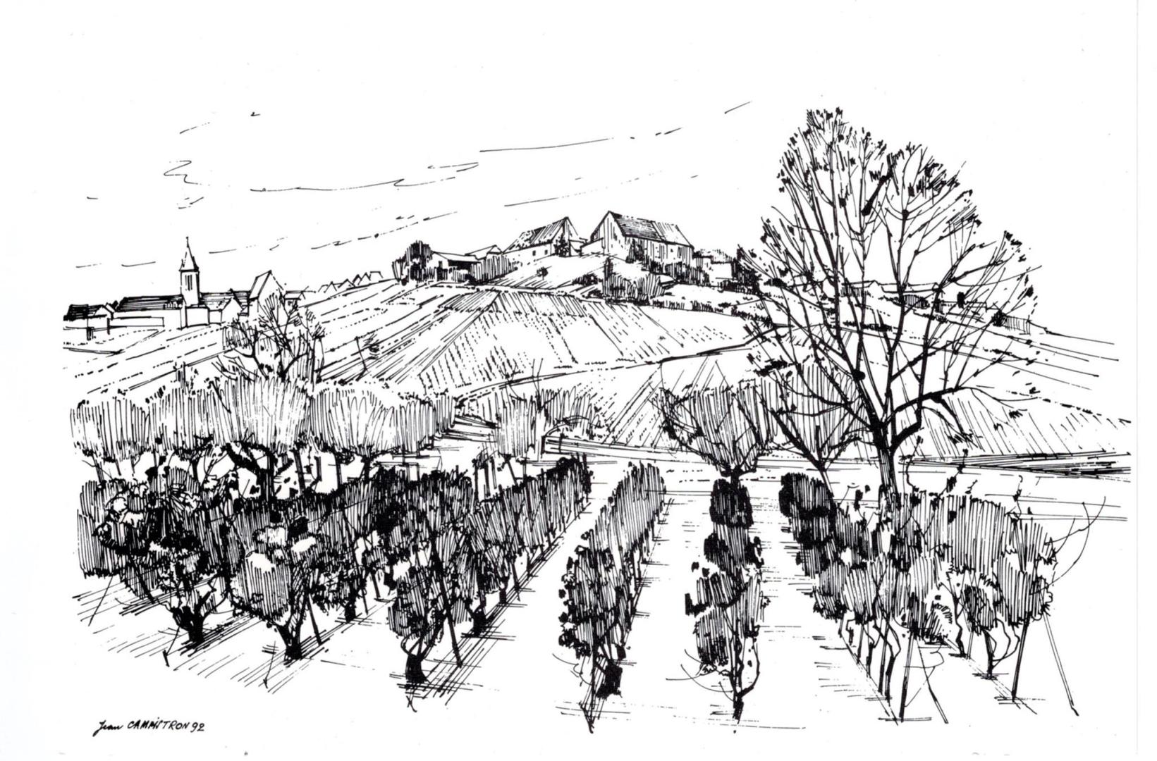 Logo de Champagne Yves Jacopé