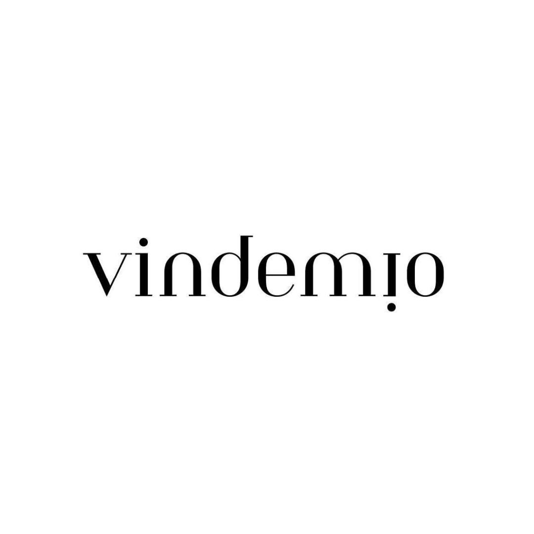 Logo de Domaine Vindemio