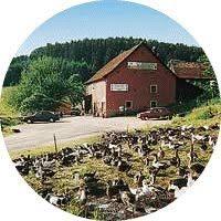 Logo de Ferme Auberge du Kreuzweg