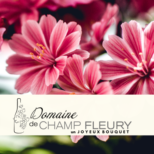 Logo de Domaine de Champ-Fleury