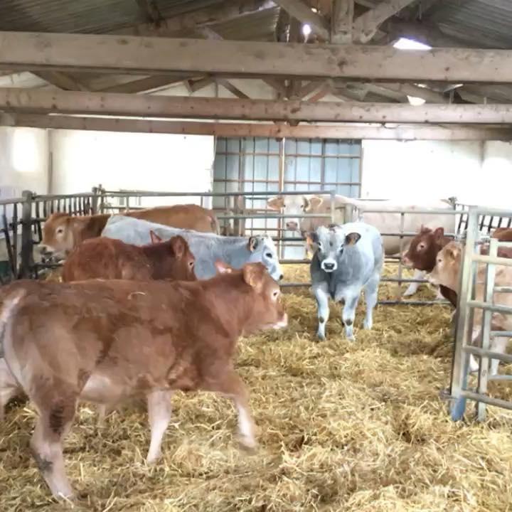 Logo de La Ferme des 3 Vaches
