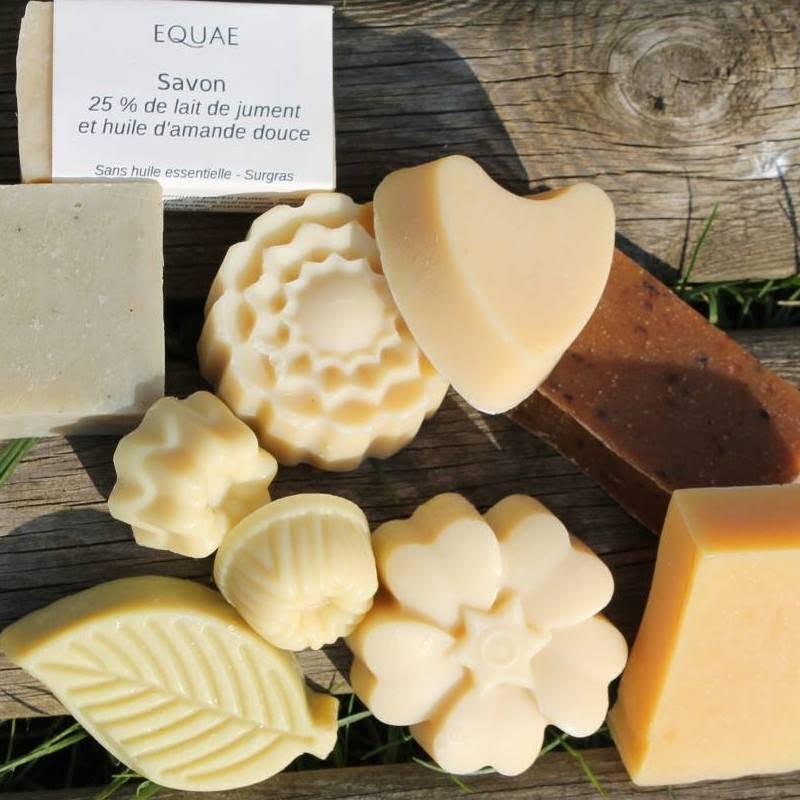 Logo de EQUAE - Delphine DE CADOLLE