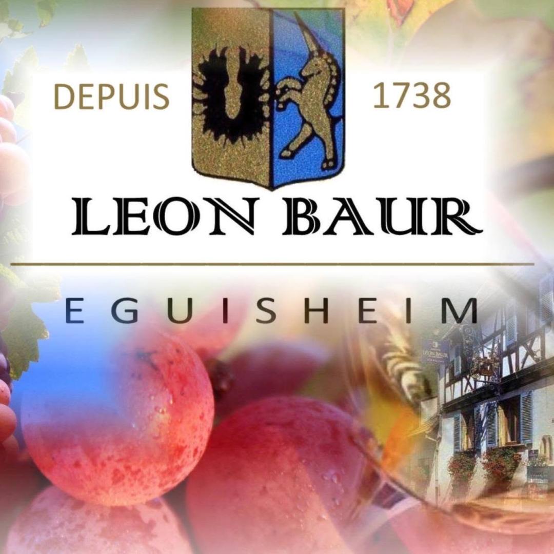 Logo de Maison Léon Baur