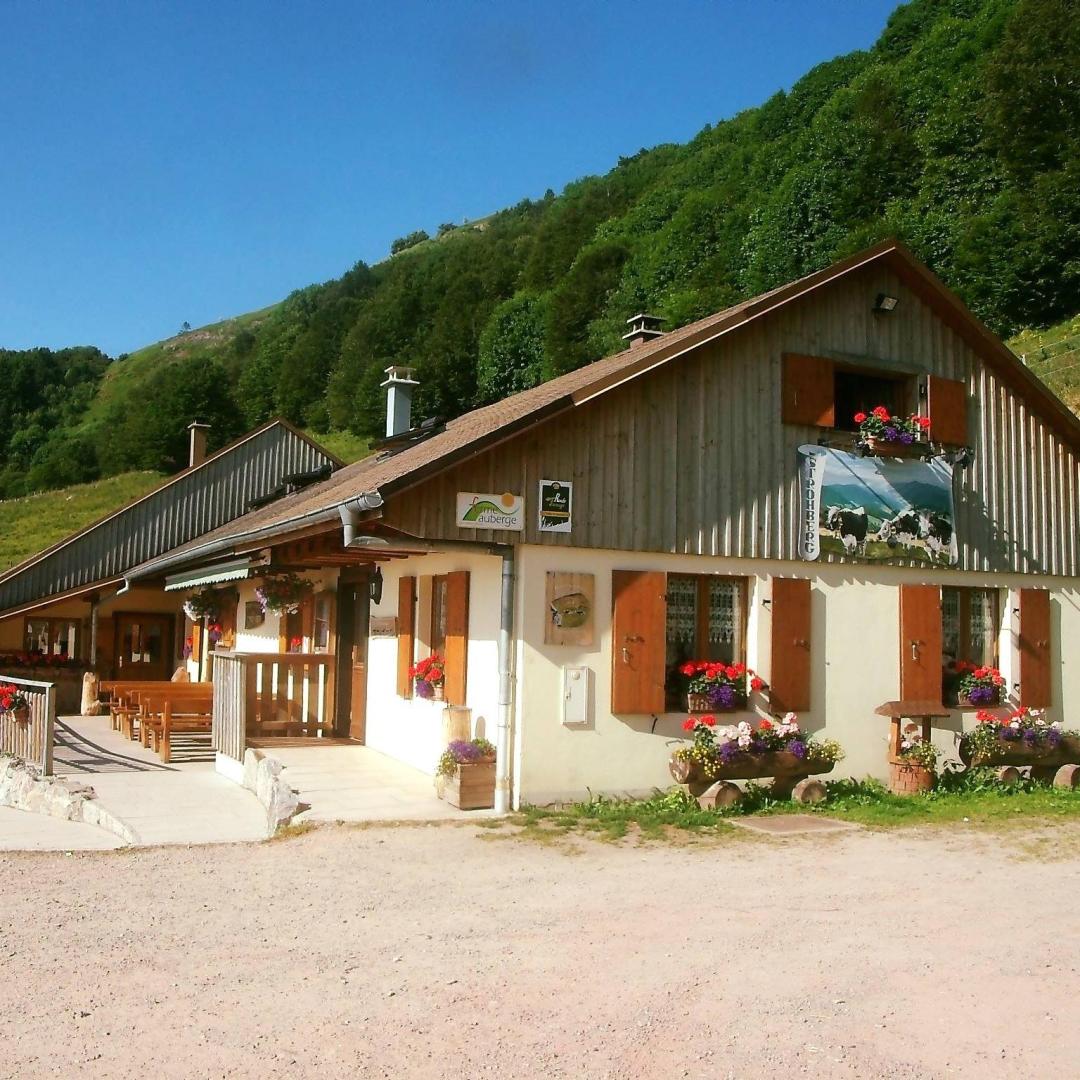Logo de Ferme Auberge Strohberg