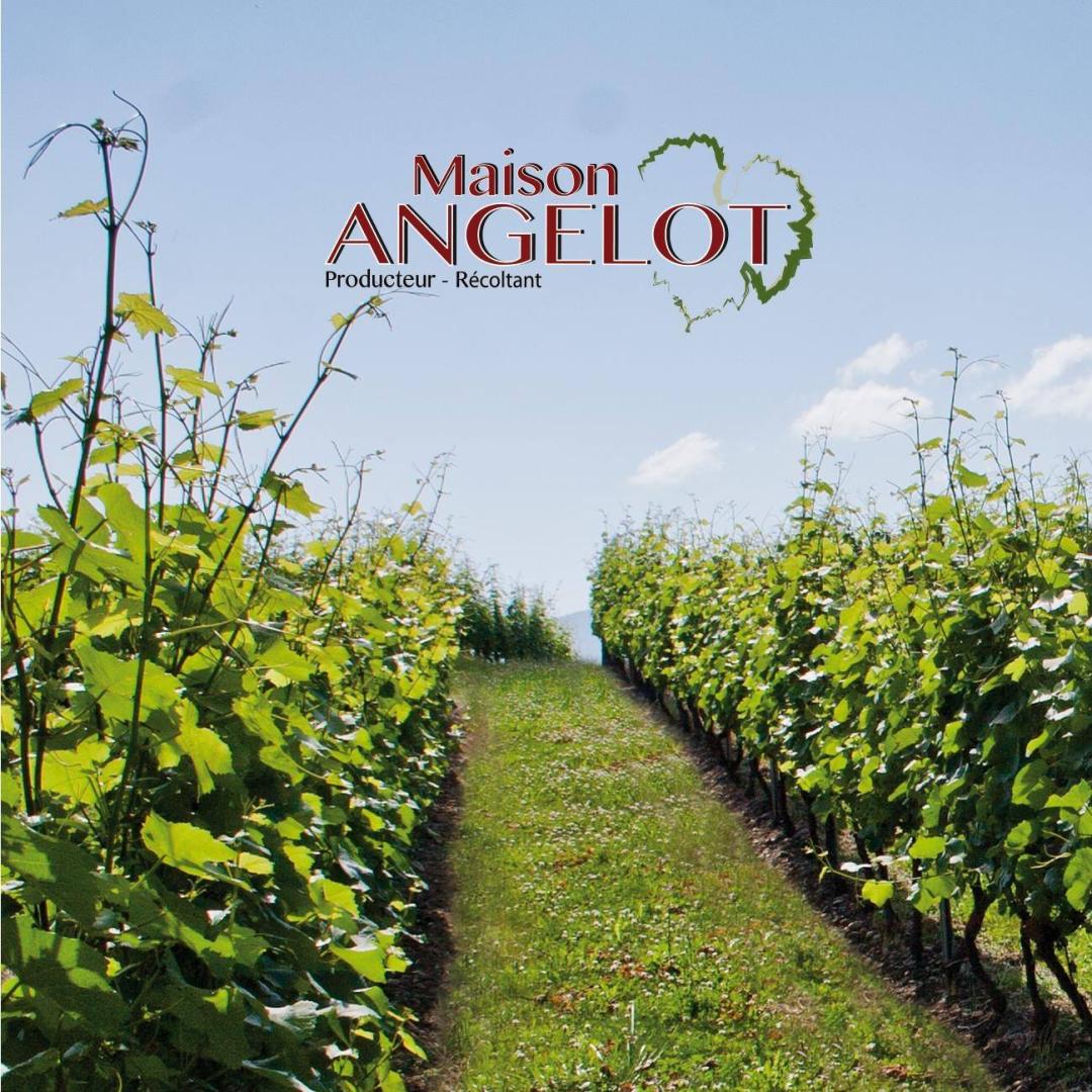 Logo de Maison Angelot