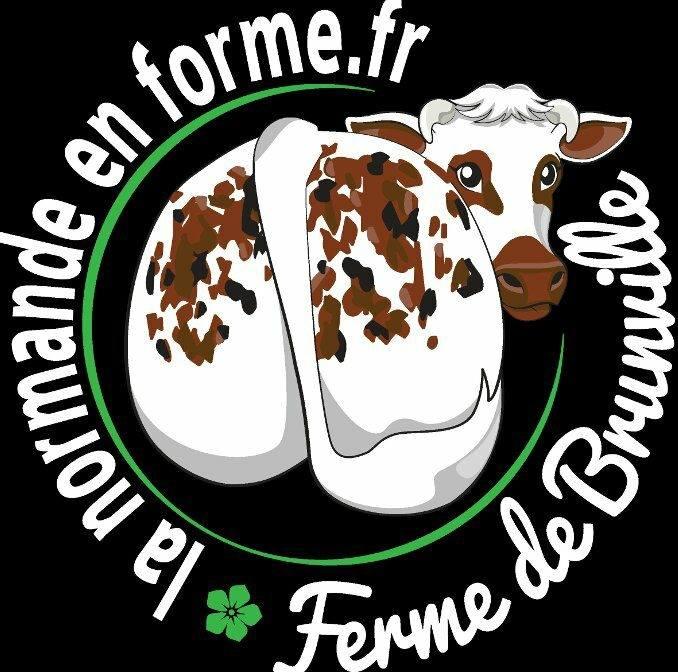 Logo de La normande en forme