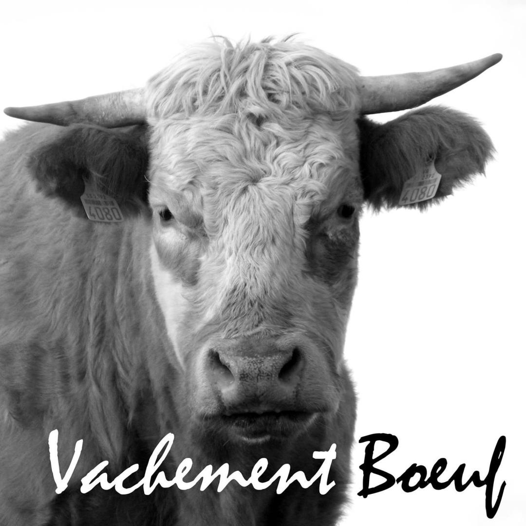 Logo de Vachement Boeuf
