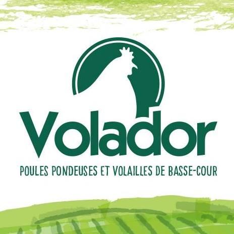 Logo de Volador