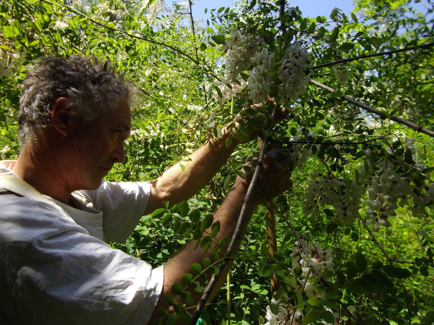 Logo de Le Verger Gourmand