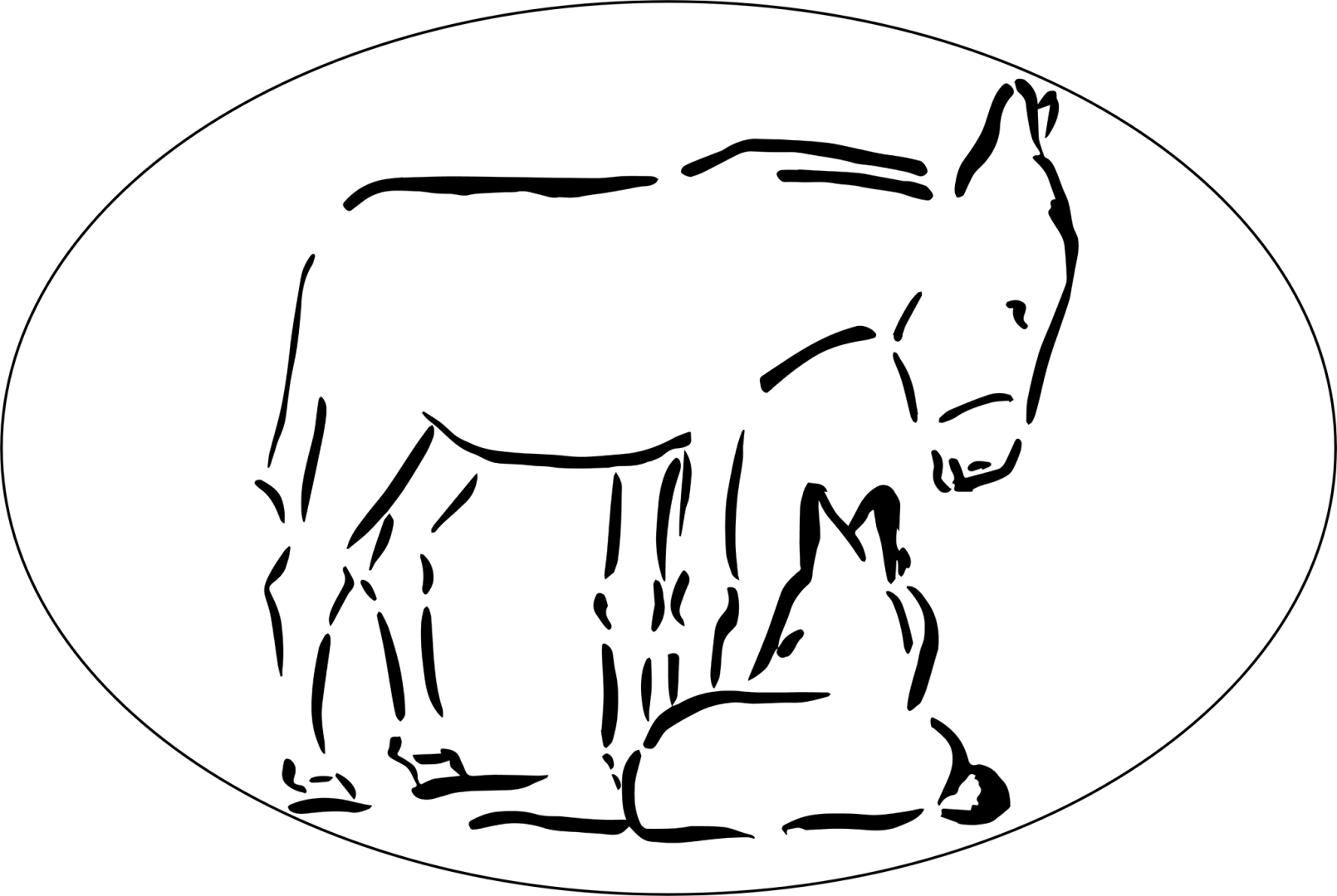 Logo de Asinerie du Rivage