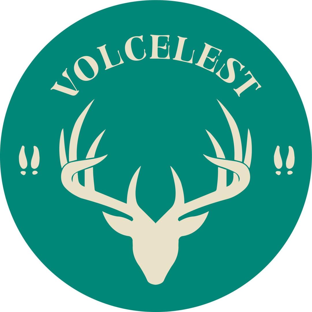 Logo de Brasserie Volcelest