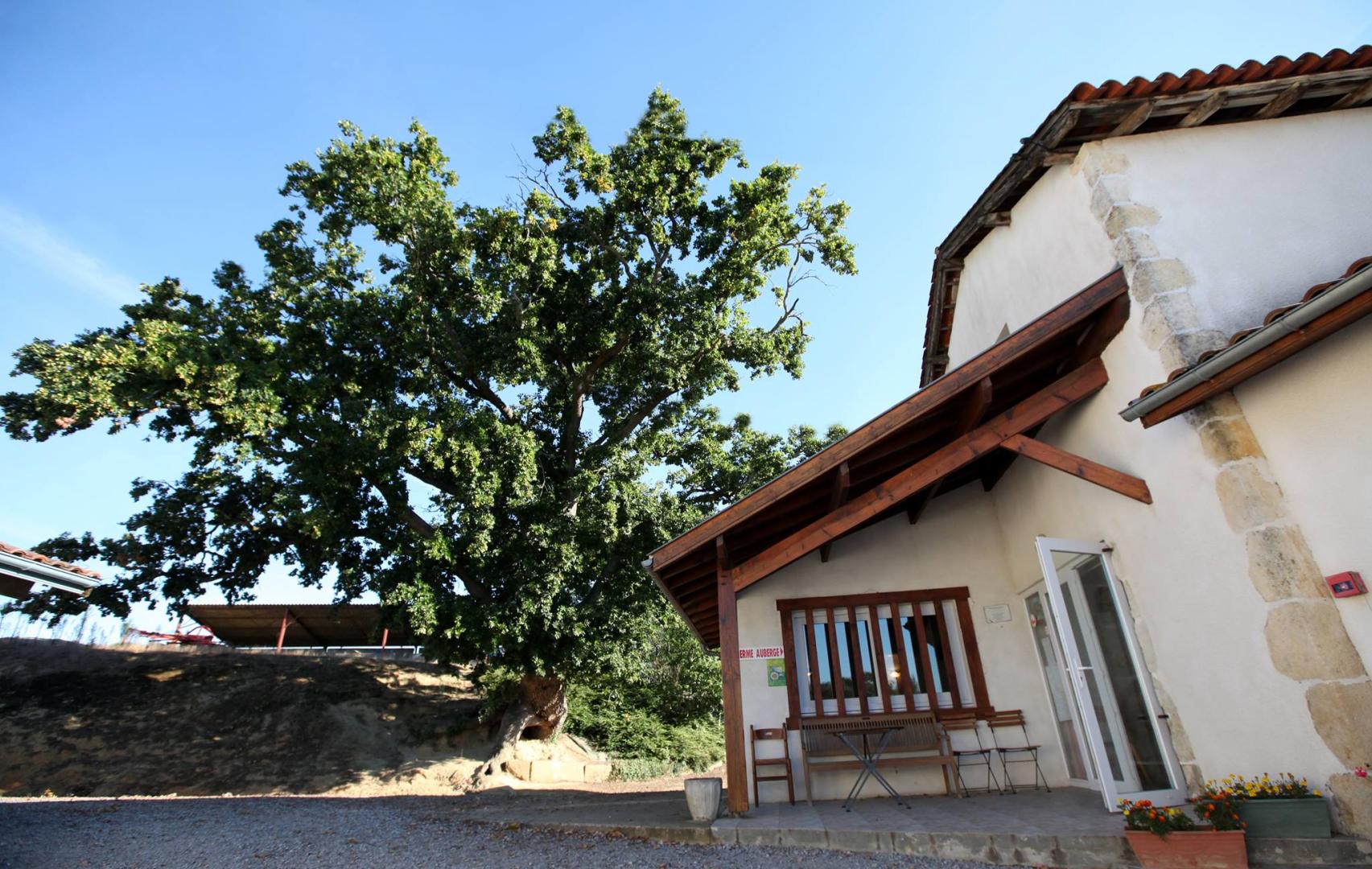 Logo de Ferme Auberge Le Vieux Chêne