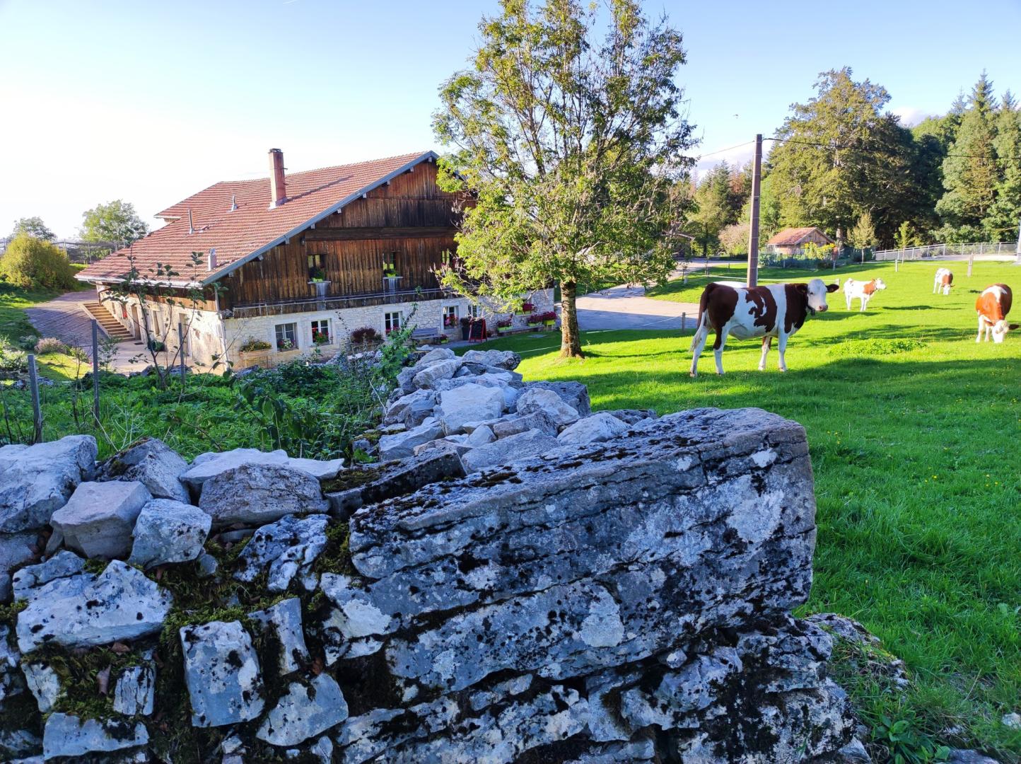 Logo de Ferme Auberge et Escargots du Tartot