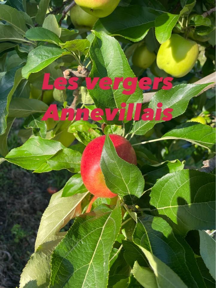 Logo de Les vergers Annevillais - Vallée de Seine