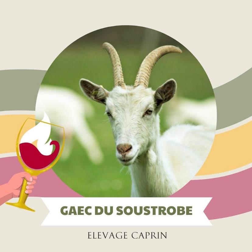 Logo de GAEC du Soustrobe
