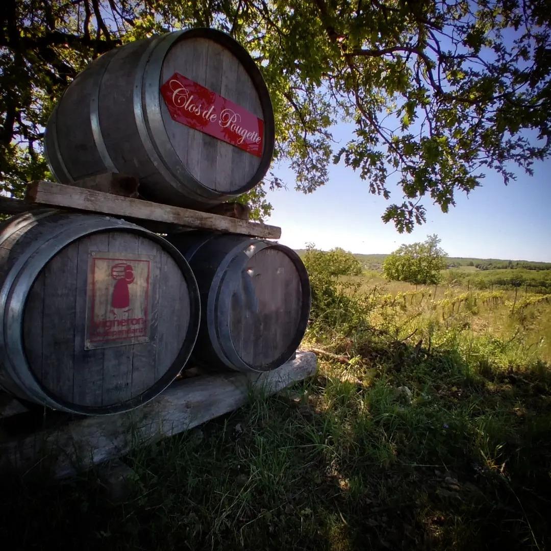 Logo de Vignoble Clos de Pougette