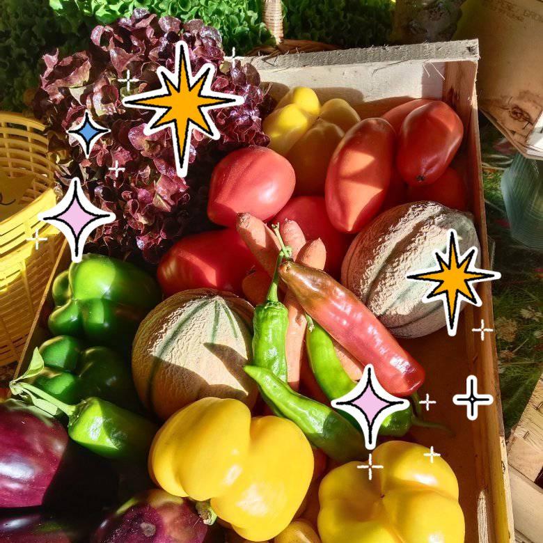 Logo de Du jardin à votre assiette