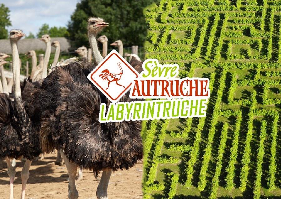 Logo de Sèvre Autruche