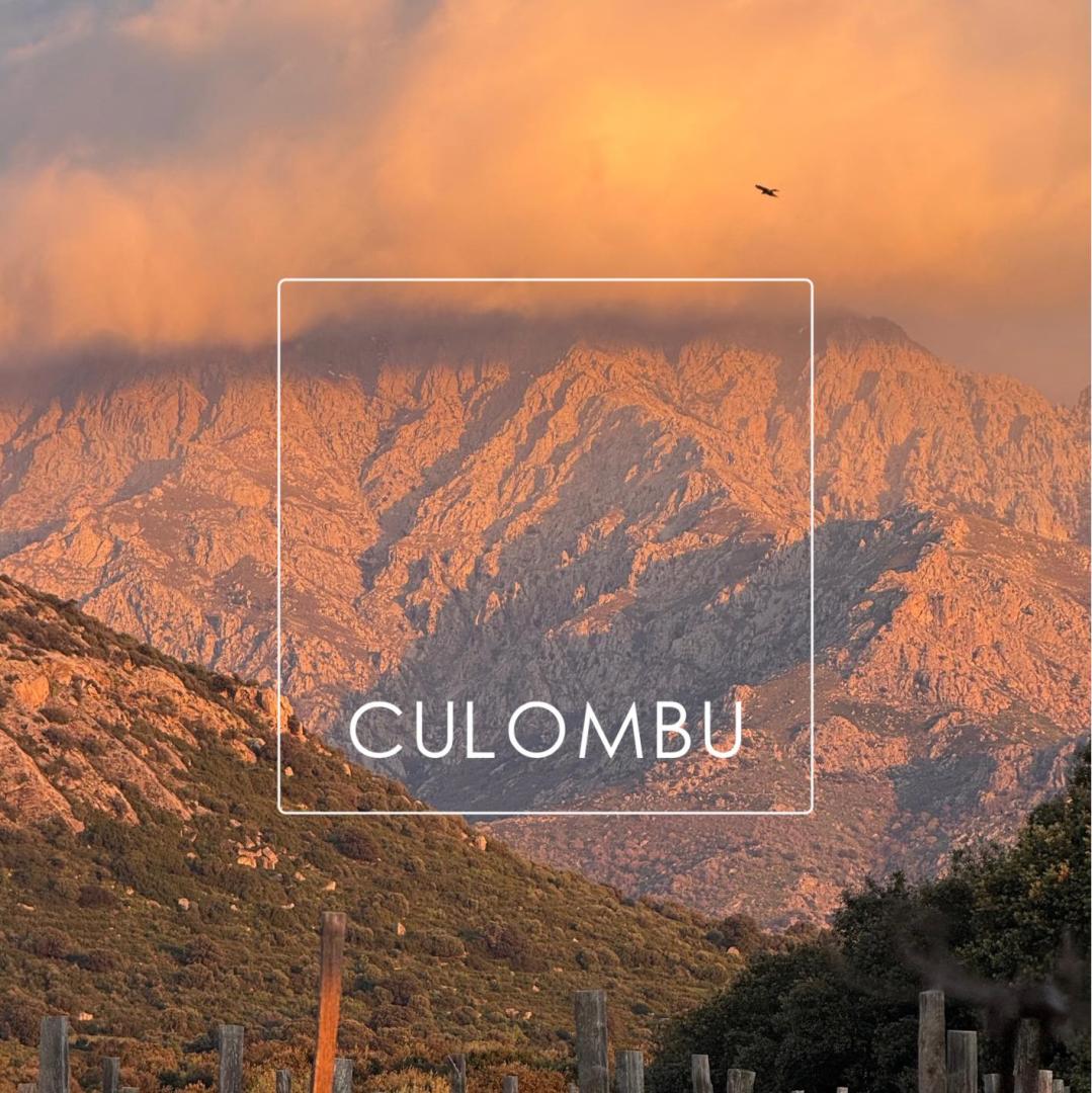 Logo de Domaine Clos Culombu
