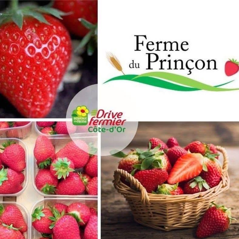 Logo de Ferme du Princon