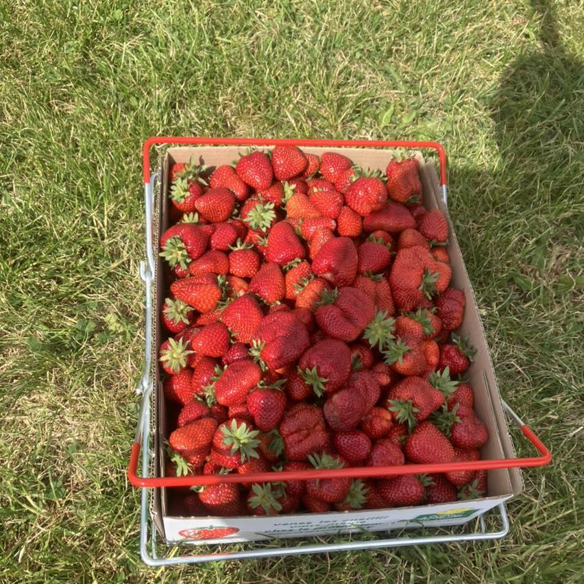 Logo de Ferme du Paradis