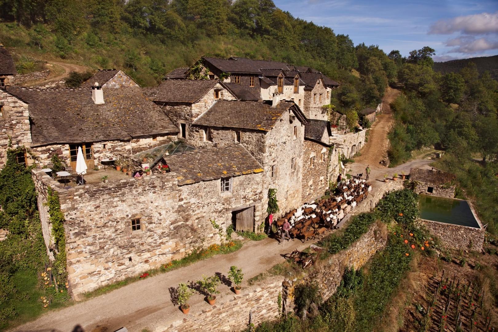 Logo de La Ferme des Cévennes