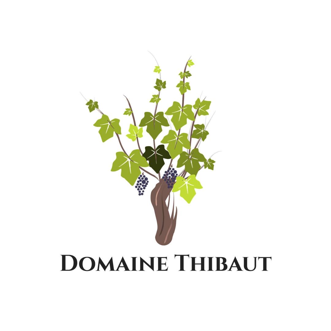 Logo de Domaine Thibaut