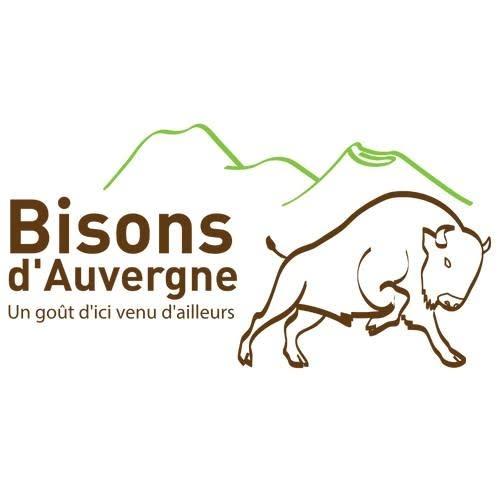 Logo de Bisons d'Auvergne