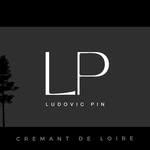 Logo de Vignoble Pin