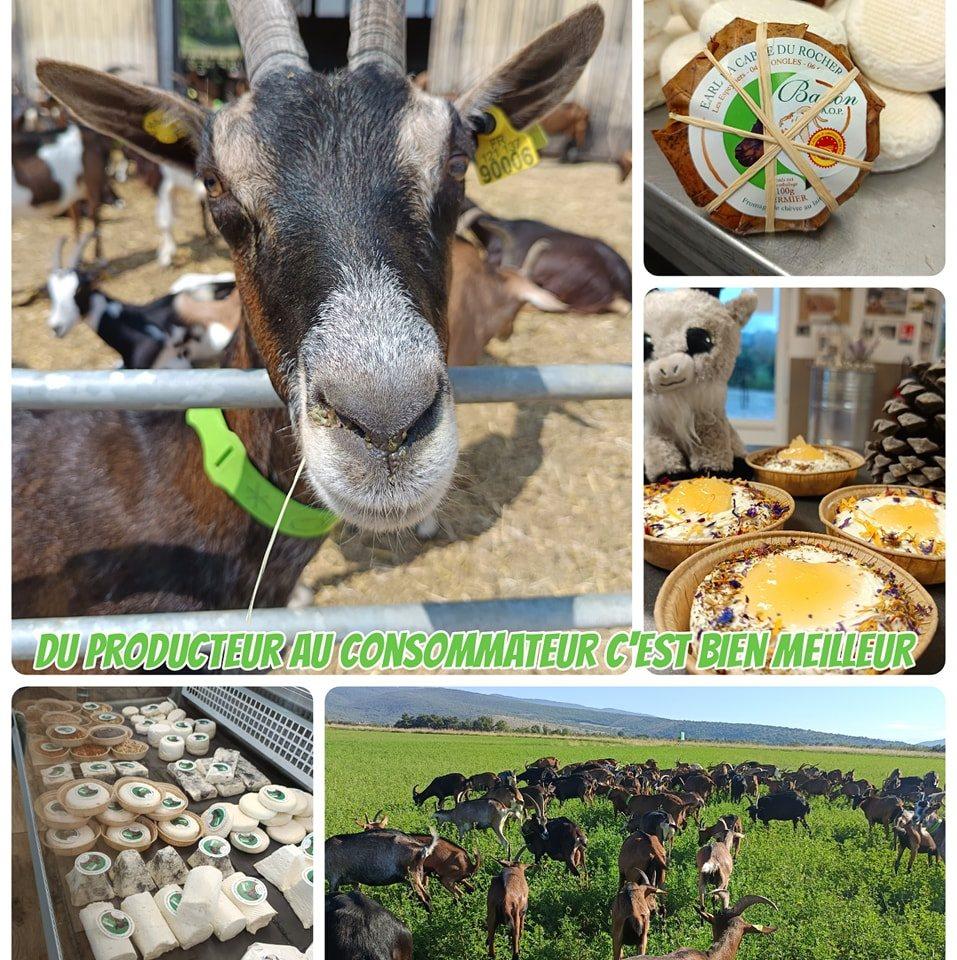 Logo de La Cabre du Rocher