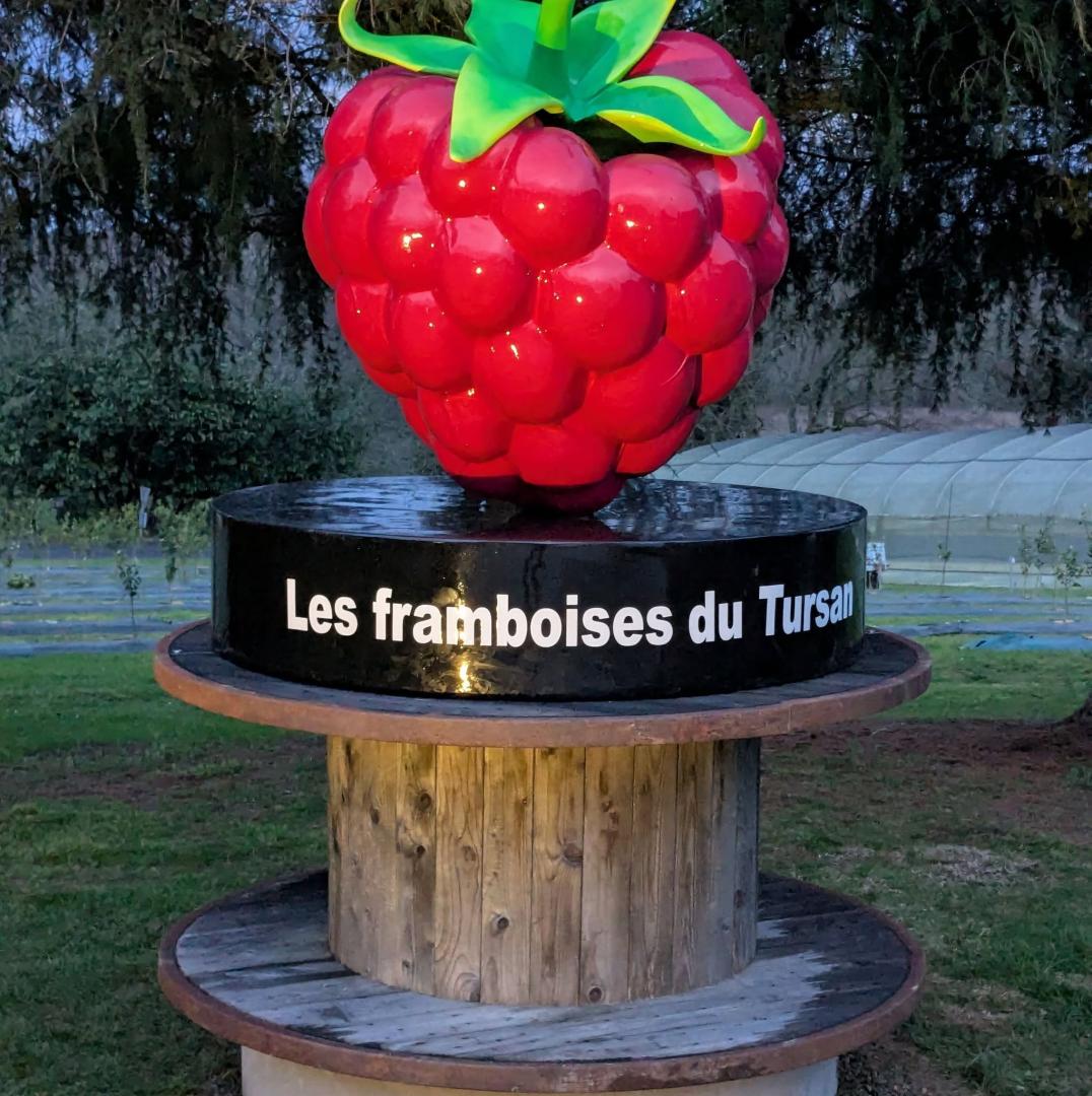 Logo de Les Framboises de Tursan
