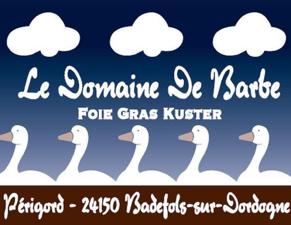 Logo de Domaine de Barbe