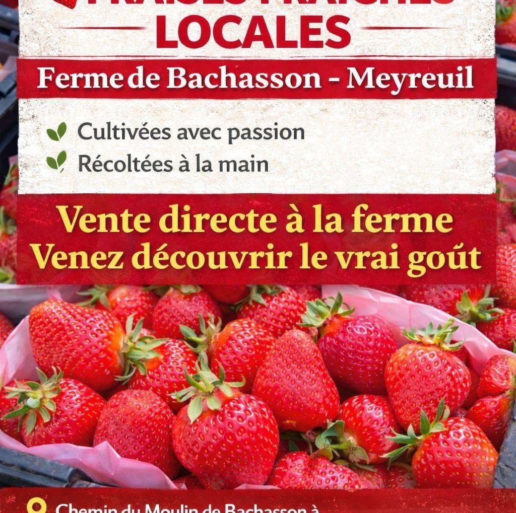 Logo de Ferme de Bachasson