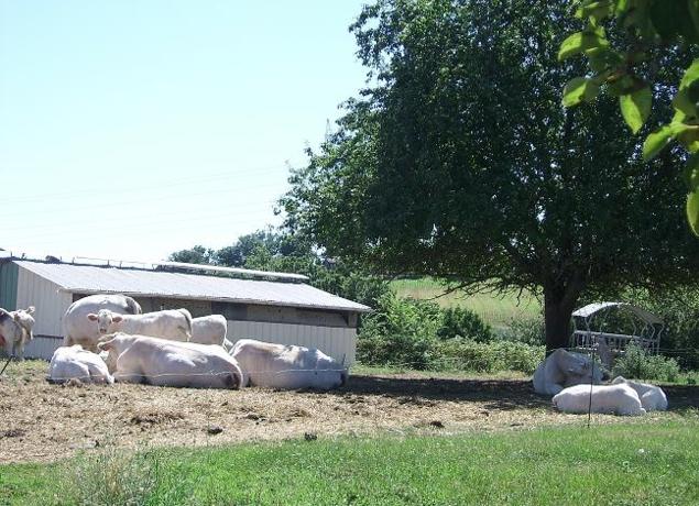 Logo de Ferme de Saint Jean de la Selve