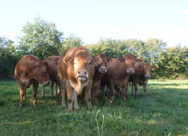 Logo de Ferme du GAEC Imprenable